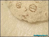 familyguy.djeo.ru_funart_035 (1000x750, 179 kБ...)